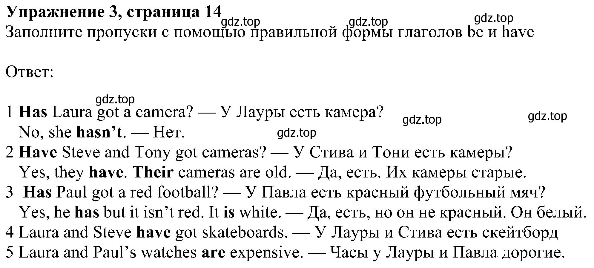 Решение номер 3 (страница 14) гдз по английскому языку 6 класс Ваулина, Дули, учебник