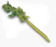 Рисунок. 4 celery