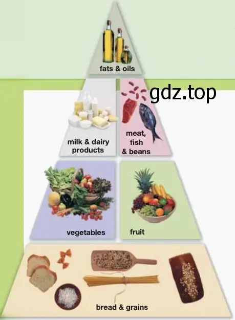 Рисунок. food pyramid