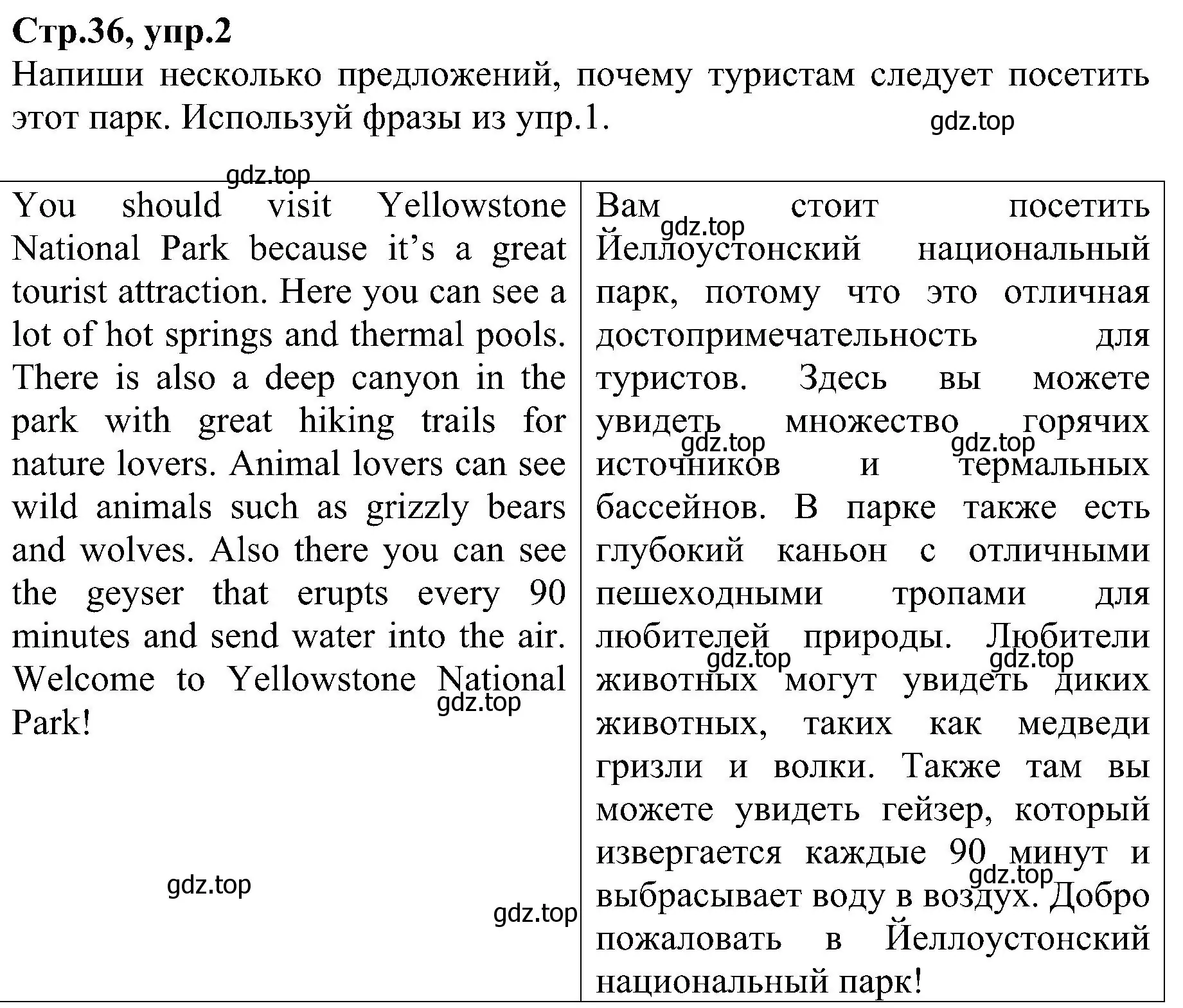 Решение номер 2 (страница 36) гдз по английскому языку 6 класс Баранова, Мильруд, рабочая тетрадь