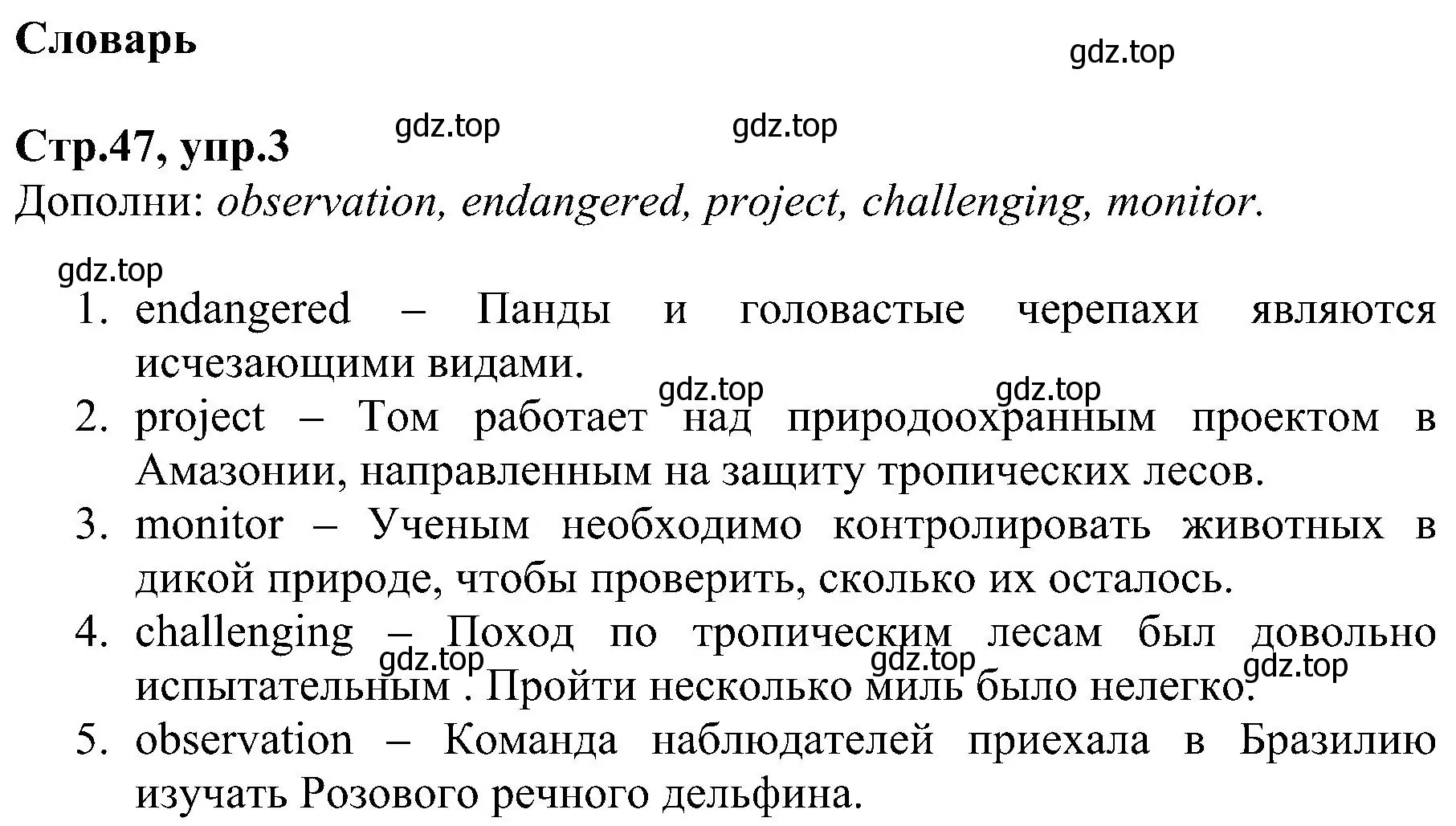 Решение номер 3 (страница 47) гдз по английскому языку 6 класс Баранова, Мильруд, рабочая тетрадь