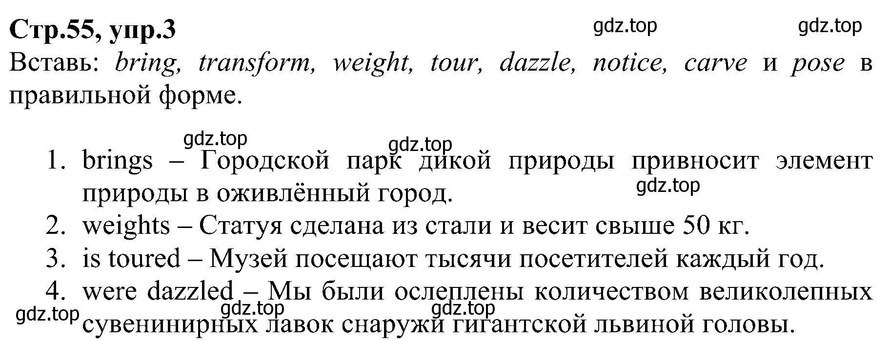 Решение номер 3 (страница 55) гдз по английскому языку 6 класс Баранова, Мильруд, рабочая тетрадь