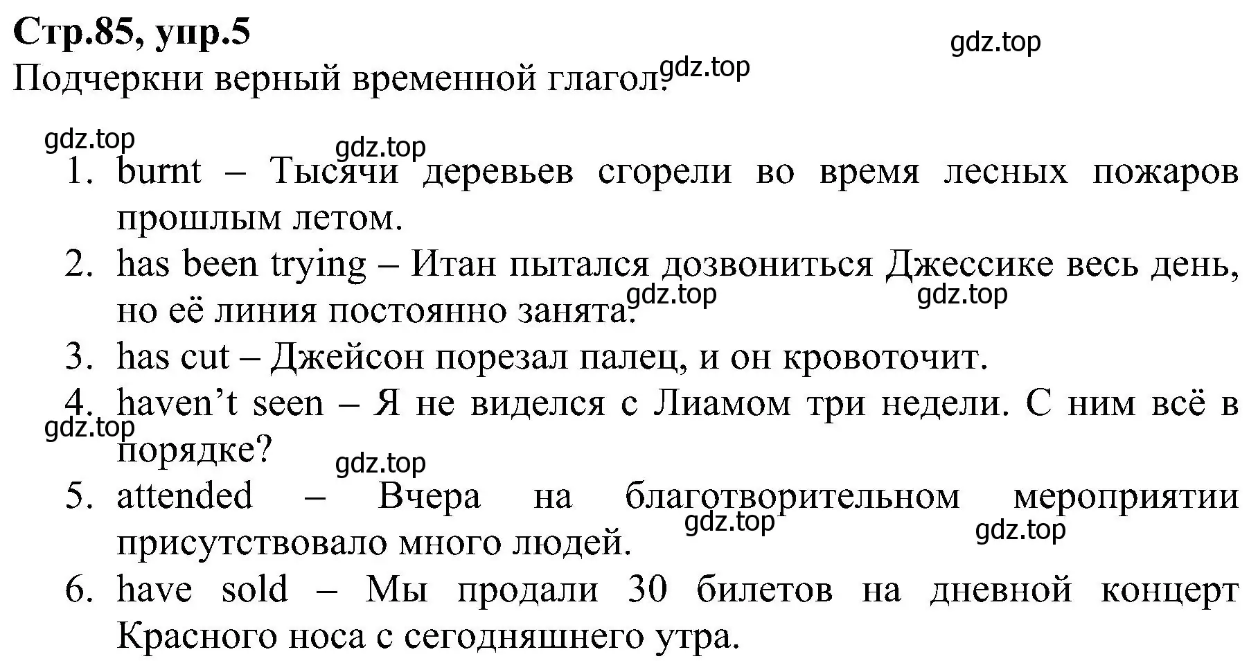 Решение номер 5 (страница 85) гдз по английскому языку 6 класс Баранова, Мильруд, рабочая тетрадь