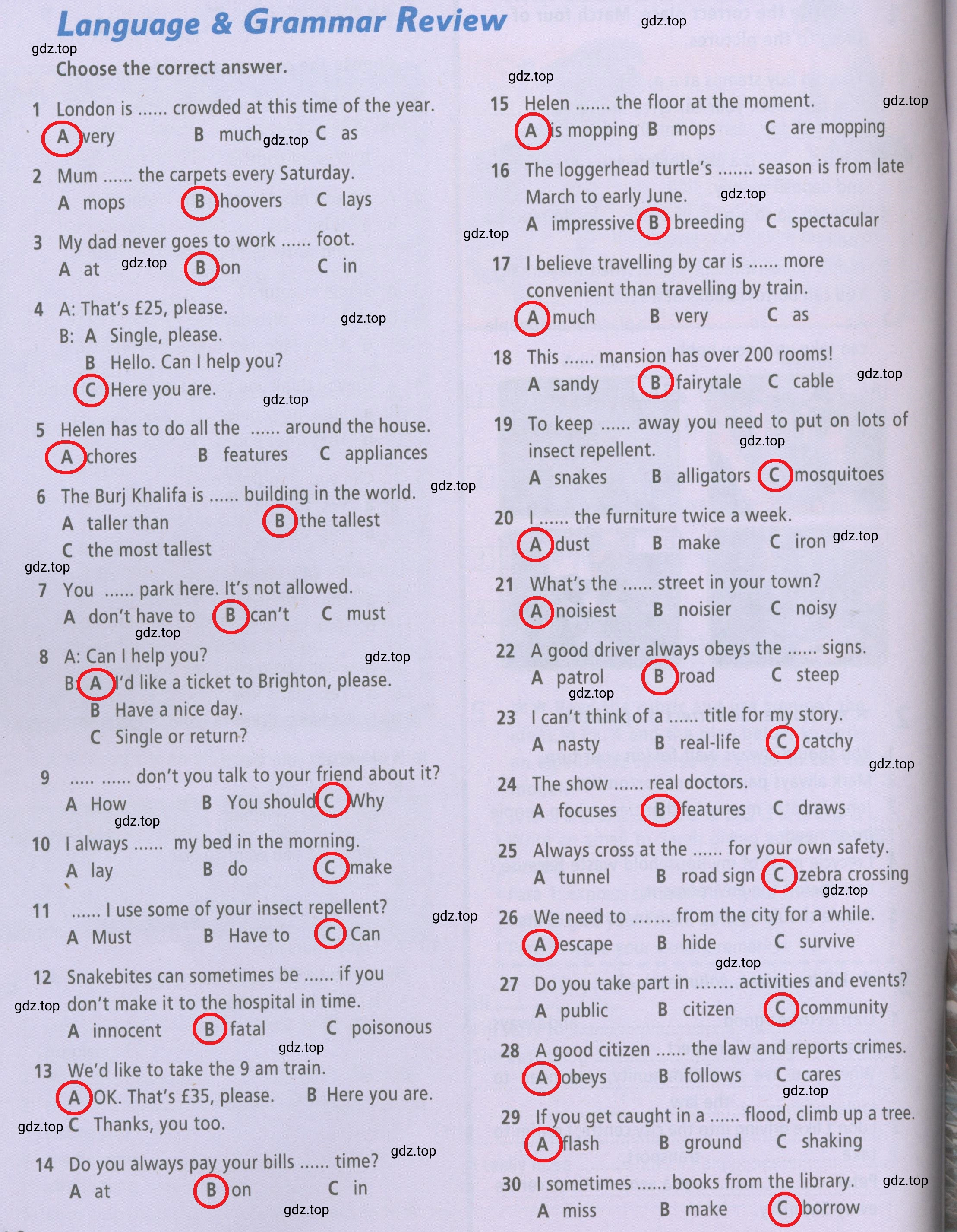 Решение 2.  Language & Grammar Review (страница 12) гдз по английскому языку 6 класс Баранова, Мильруд, рабочая тетрадь