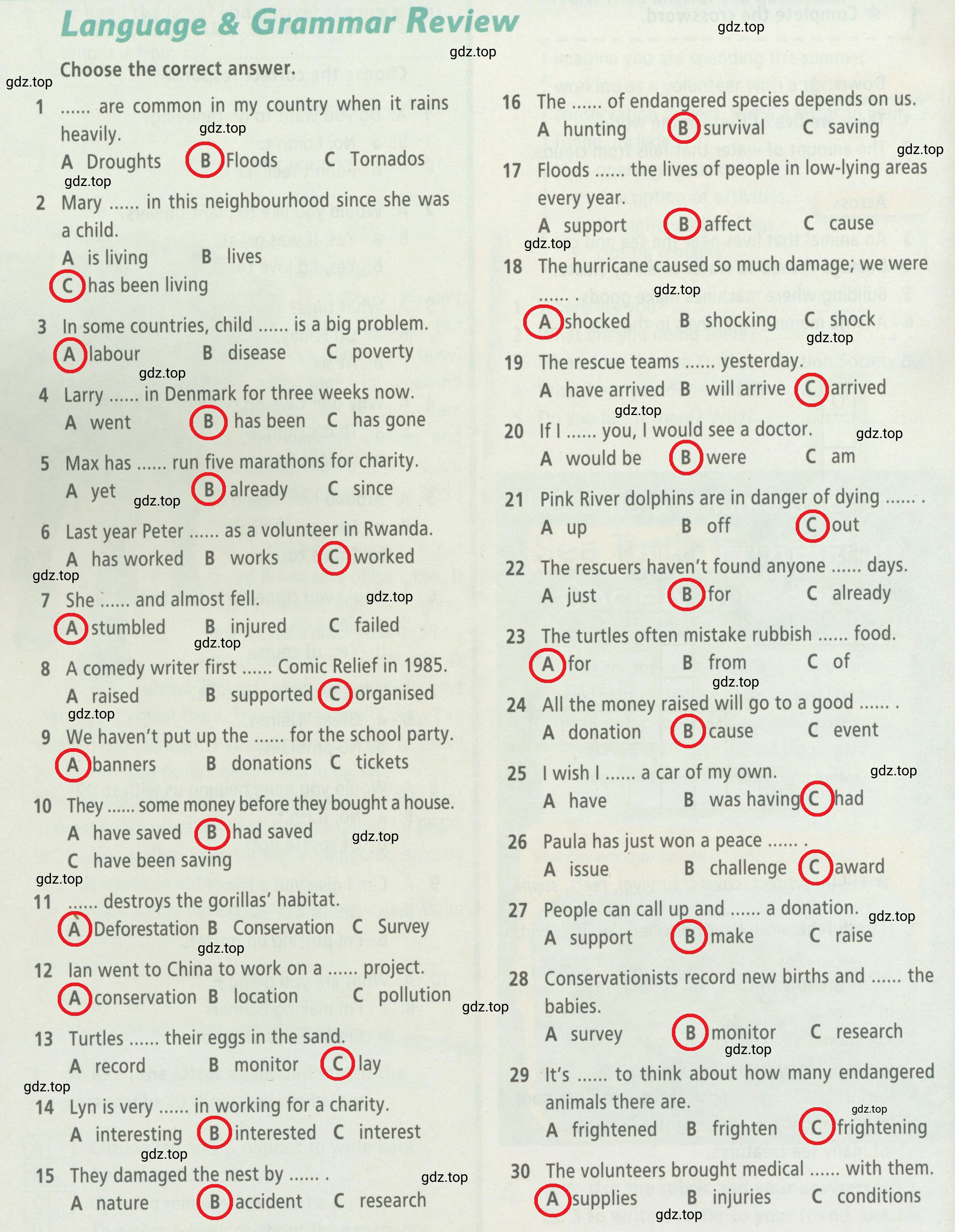 Решение 2.  Language & Grammar Review (страница 52) гдз по английскому языку 6 класс Баранова, Мильруд, рабочая тетрадь