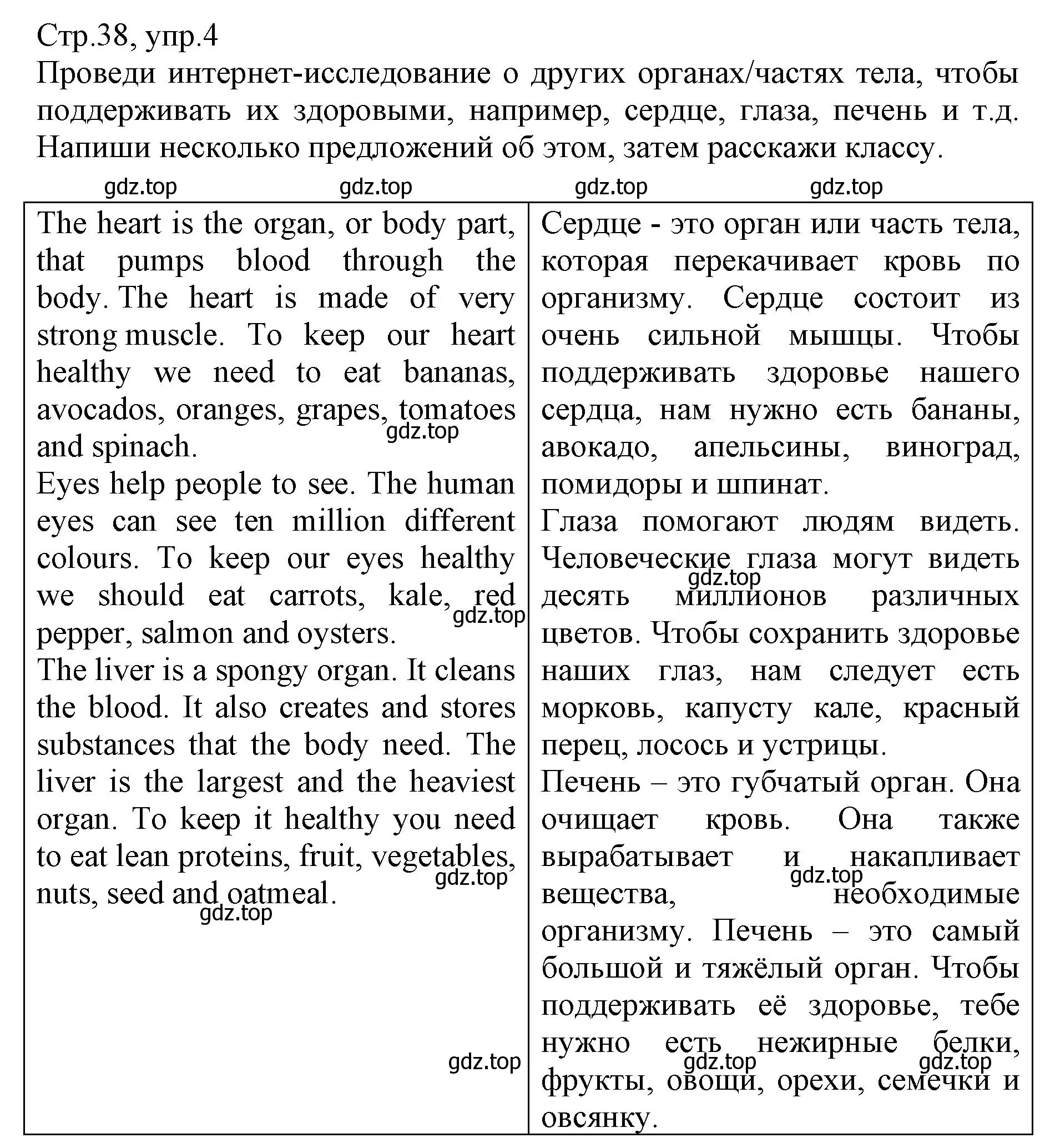 Решение номер 4 (страница 38) гдз по английскому языку 6 класс Баранова, Дули, учебник