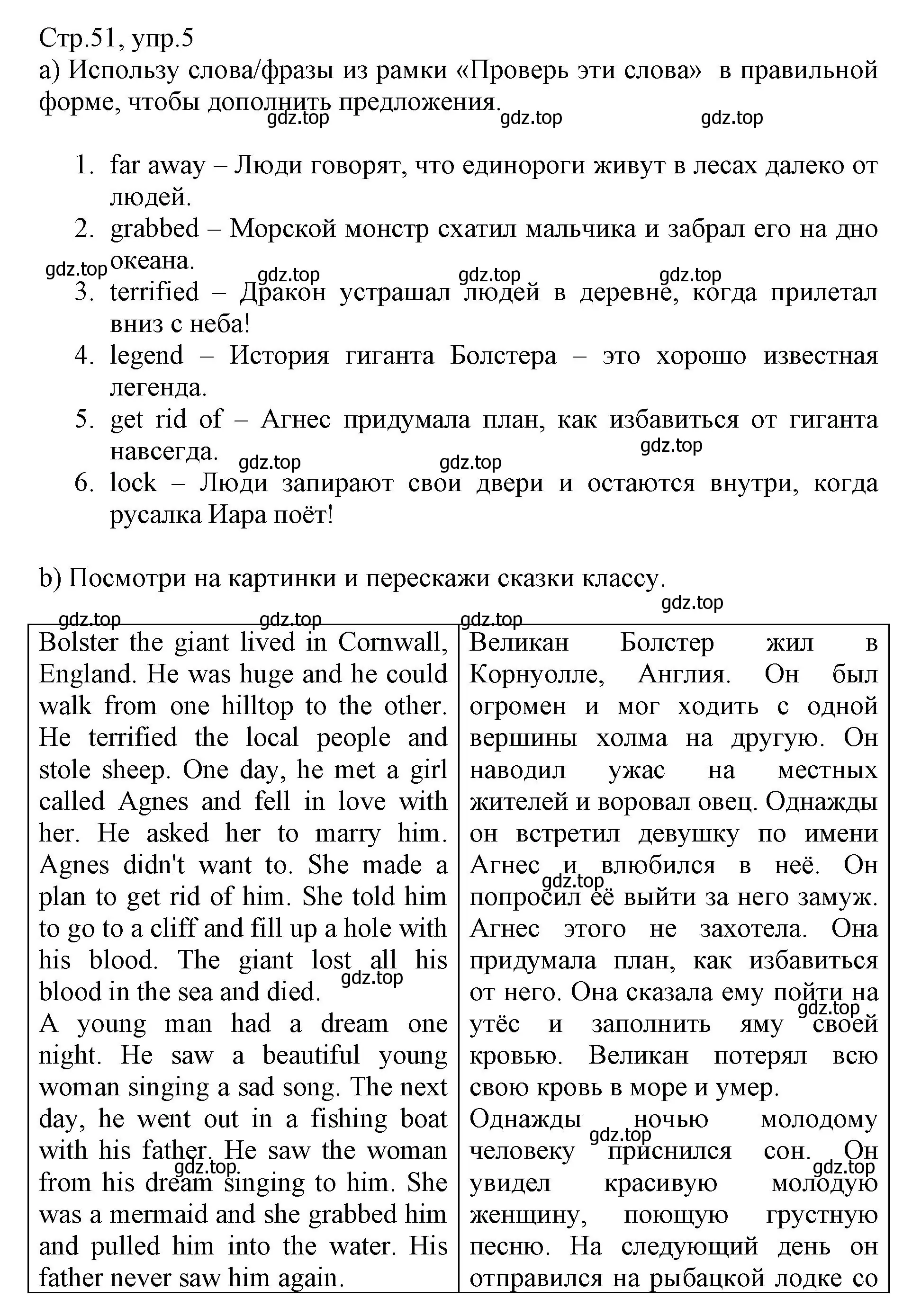 Решение номер 5 (страница 51) гдз по английскому языку 6 класс Баранова, Дули, учебник