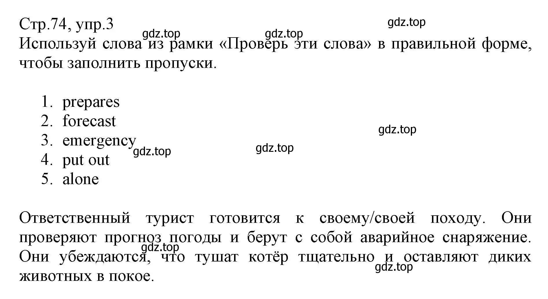 Решение номер 3 (страница 74) гдз по английскому языку 6 класс Баранова, Дули, учебник