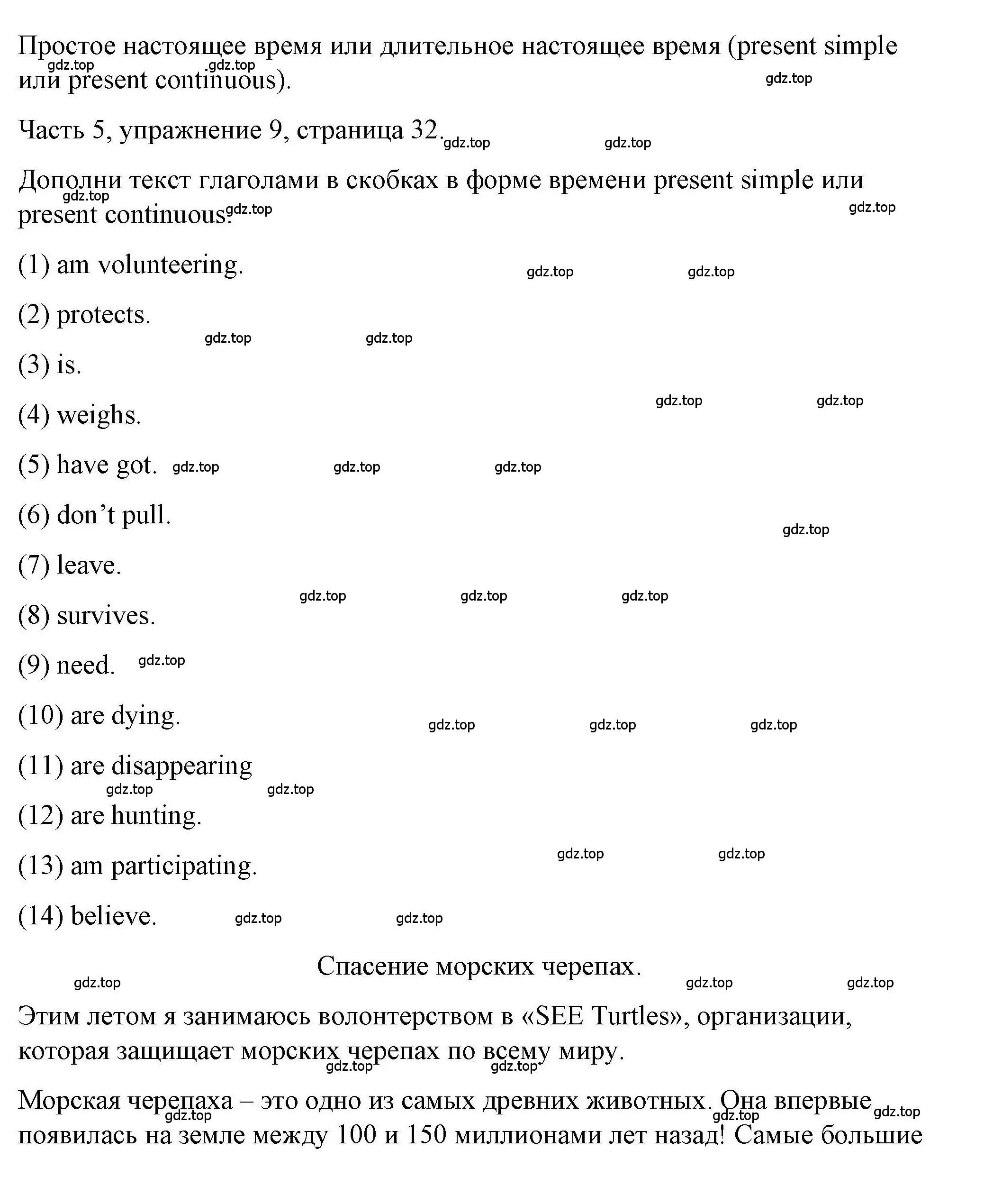 Решение номер 9 (страница 32) гдз по английскому языку 6 класс Тетина, Титова, тесты