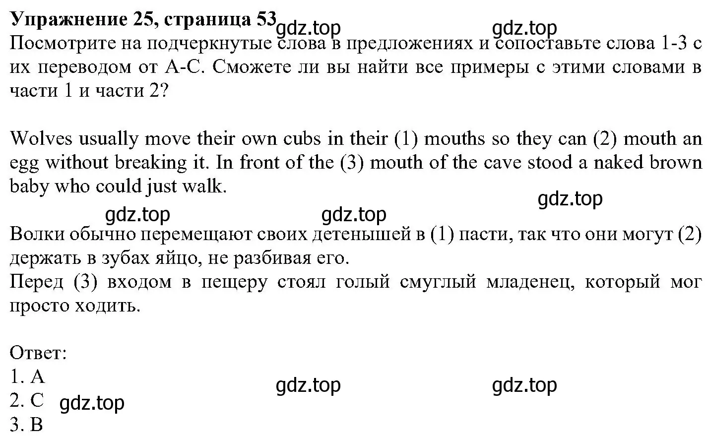 Решение номер 25 (страница 53) гдз по английскому языку 6 класс Вербицкая, Гаярделли, учебник 1 часть