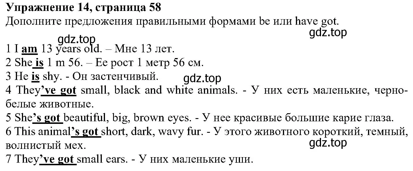 Решение номер 14 (страница 58) гдз по английскому языку 6 класс Вербицкая, Гаярделли, учебник 1 часть