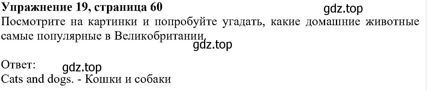 Решение номер 19 (страница 60) гдз по английскому языку 6 класс Вербицкая, Гаярделли, учебник 1 часть