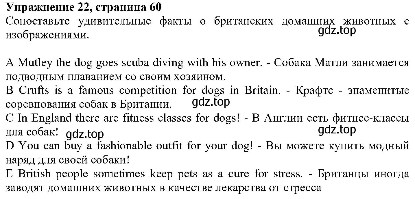 Решение номер 22 (страница 60) гдз по английскому языку 6 класс Вербицкая, Гаярделли, учебник 1 часть