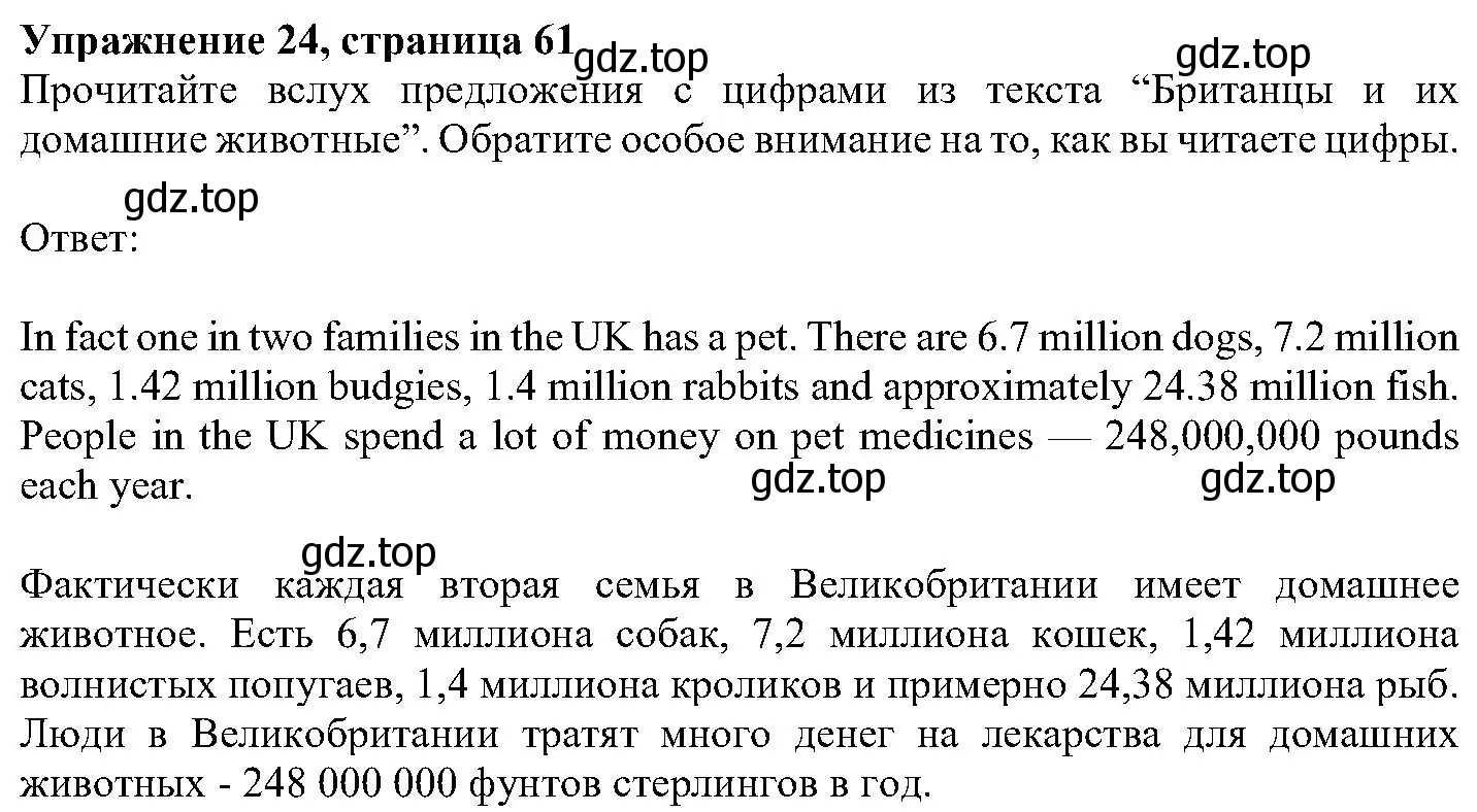 Решение номер 24 (страница 61) гдз по английскому языку 6 класс Вербицкая, Гаярделли, учебник 1 часть