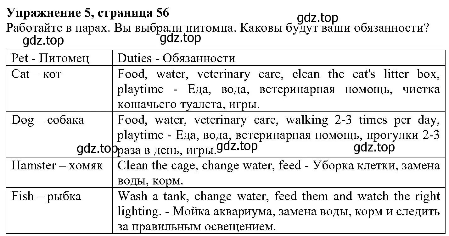 Решение номер 5 (страница 56) гдз по английскому языку 6 класс Вербицкая, Гаярделли, учебник 1 часть