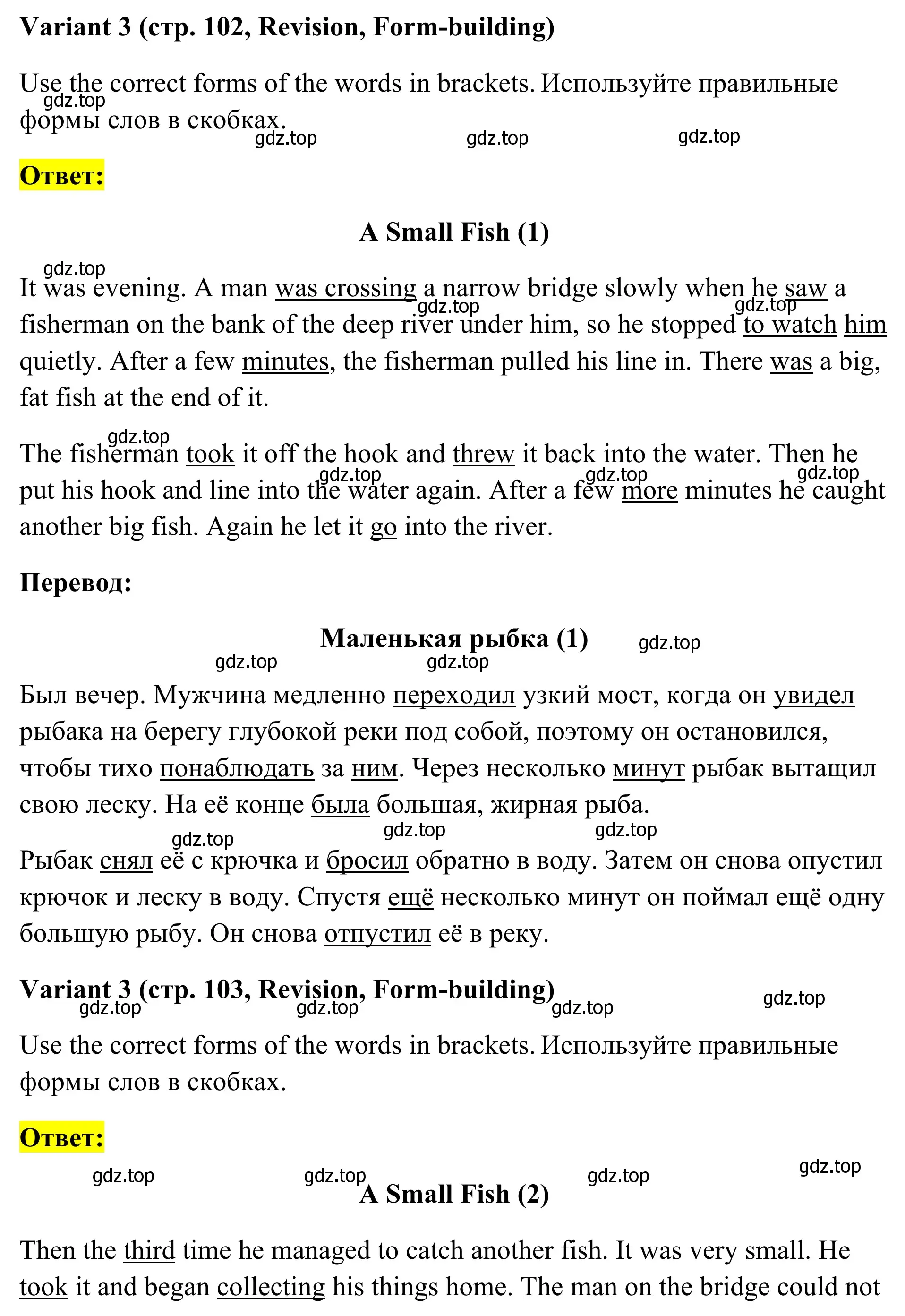 Решение  A Small Fish (страница 102) гдз по английскому языку 7 класс Комиссаров, тренировочные упражнения в формате ОГЭ