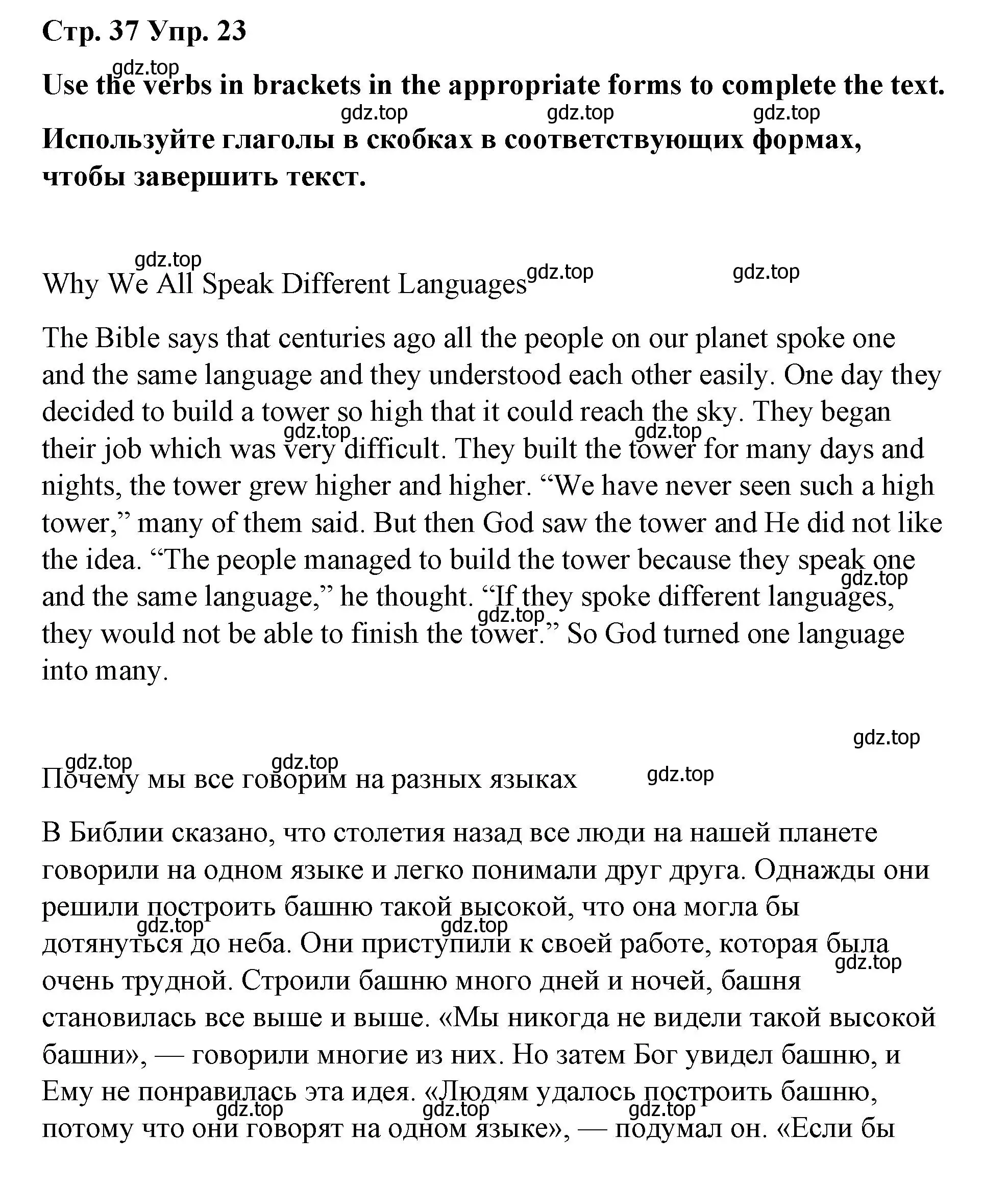 Решение номер 23 (страница 37) гдз по английскому языку 7 класс Афанасьева, Михеева, лексико-грамматический практикум