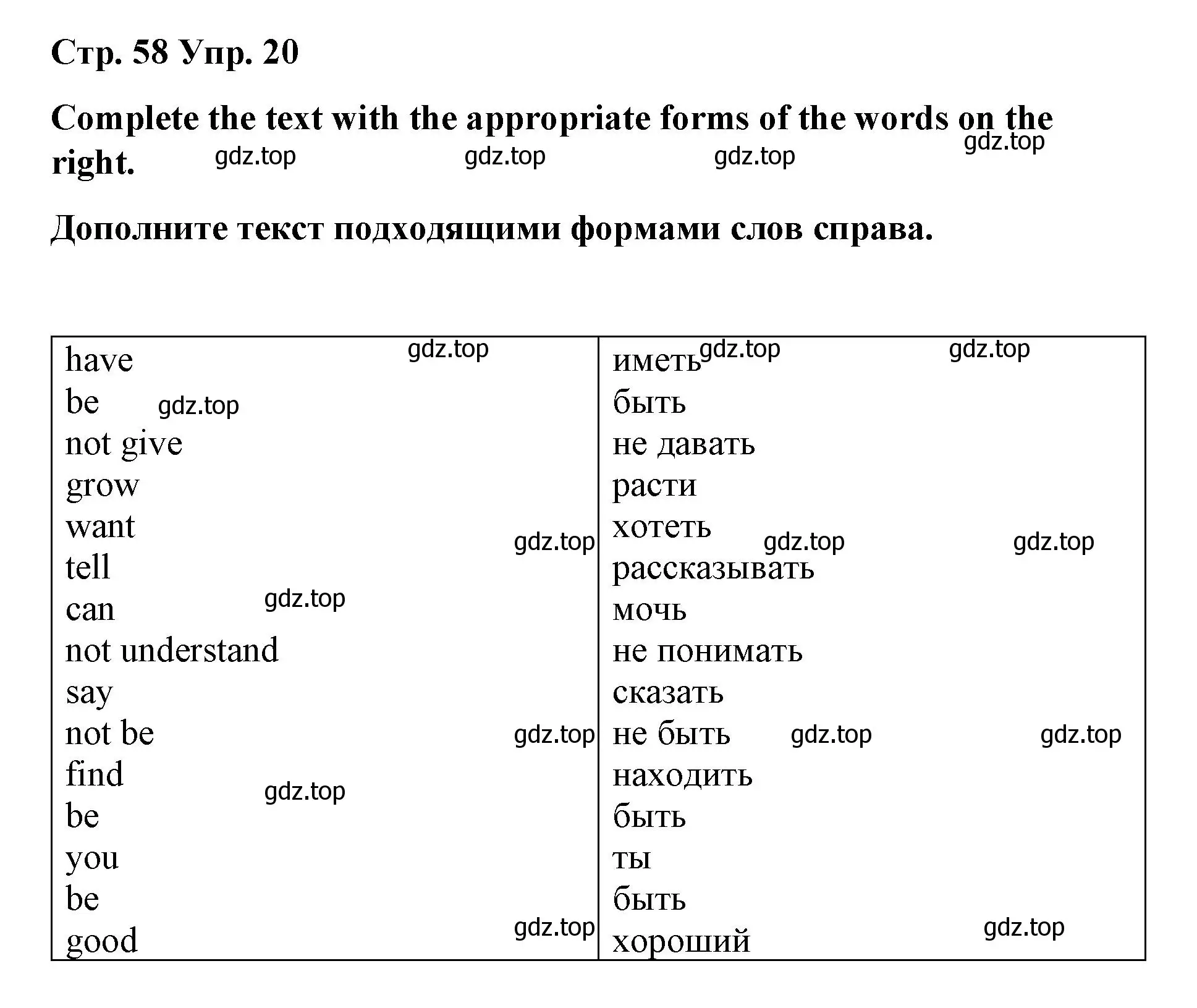 Решение номер 20 (страница 58) гдз по английскому языку 7 класс Афанасьева, Михеева, лексико-грамматический практикум