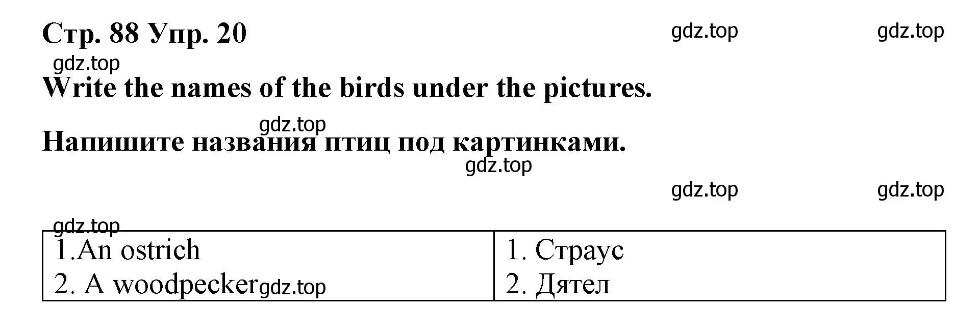 Решение номер 20 (страница 88) гдз по английскому языку 7 класс Афанасьева, Михеева, лексико-грамматический практикум