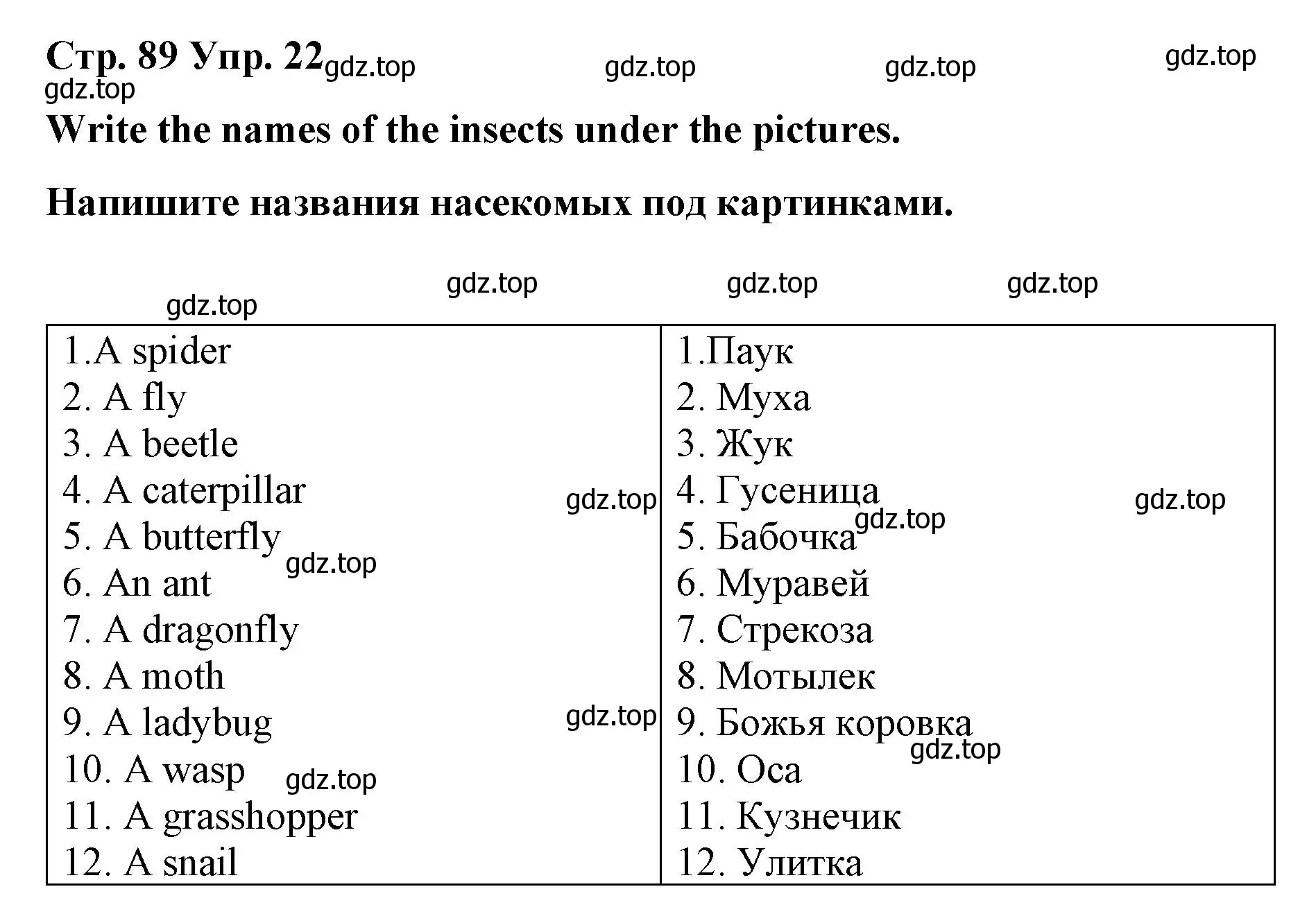 Решение номер 22 (страница 89) гдз по английскому языку 7 класс Афанасьева, Михеева, лексико-грамматический практикум