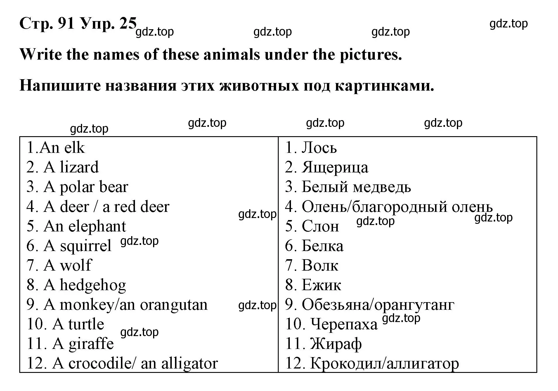 Решение номер 25 (страница 91) гдз по английскому языку 7 класс Афанасьева, Михеева, лексико-грамматический практикум