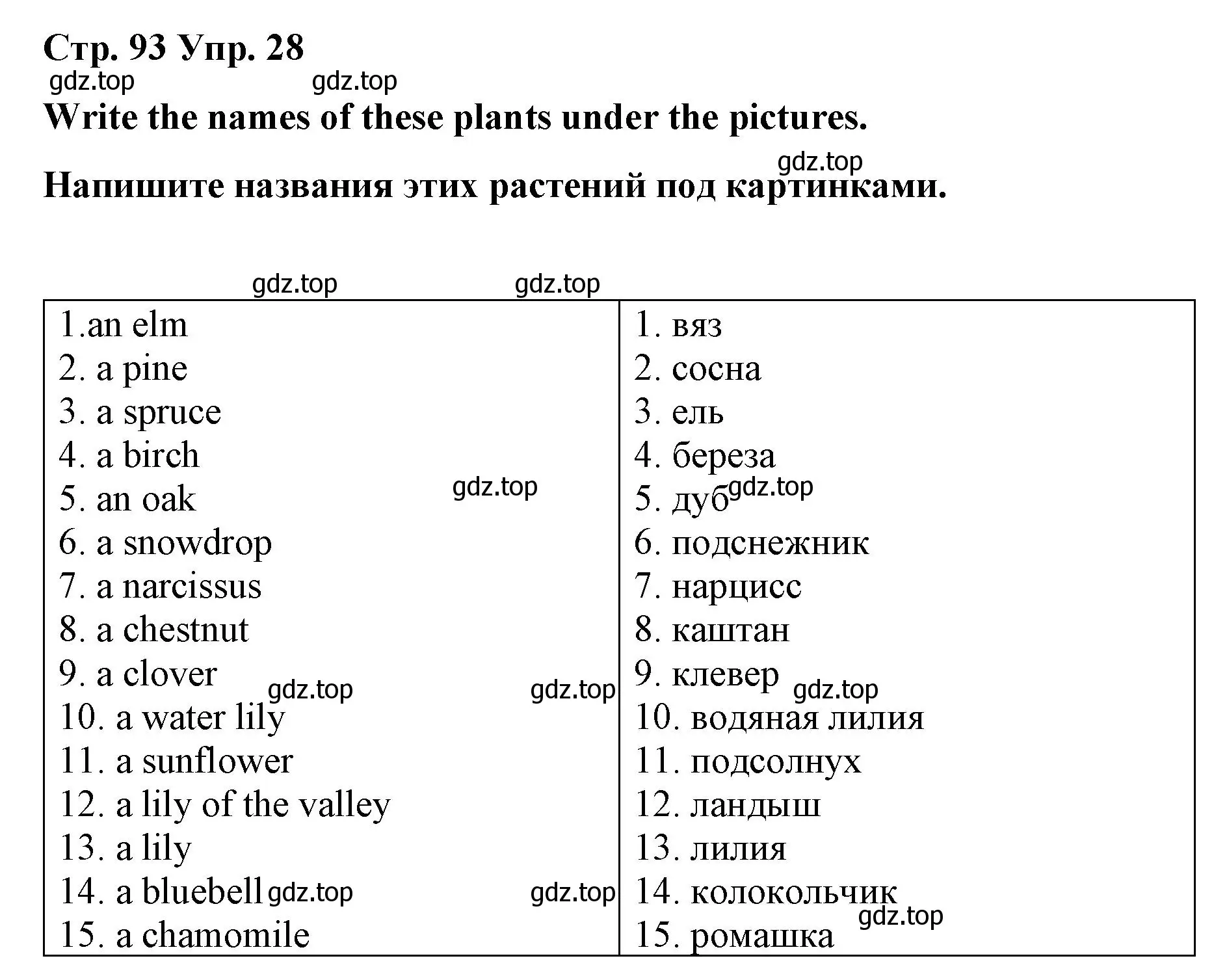 Решение номер 28 (страница 93) гдз по английскому языку 7 класс Афанасьева, Михеева, лексико-грамматический практикум