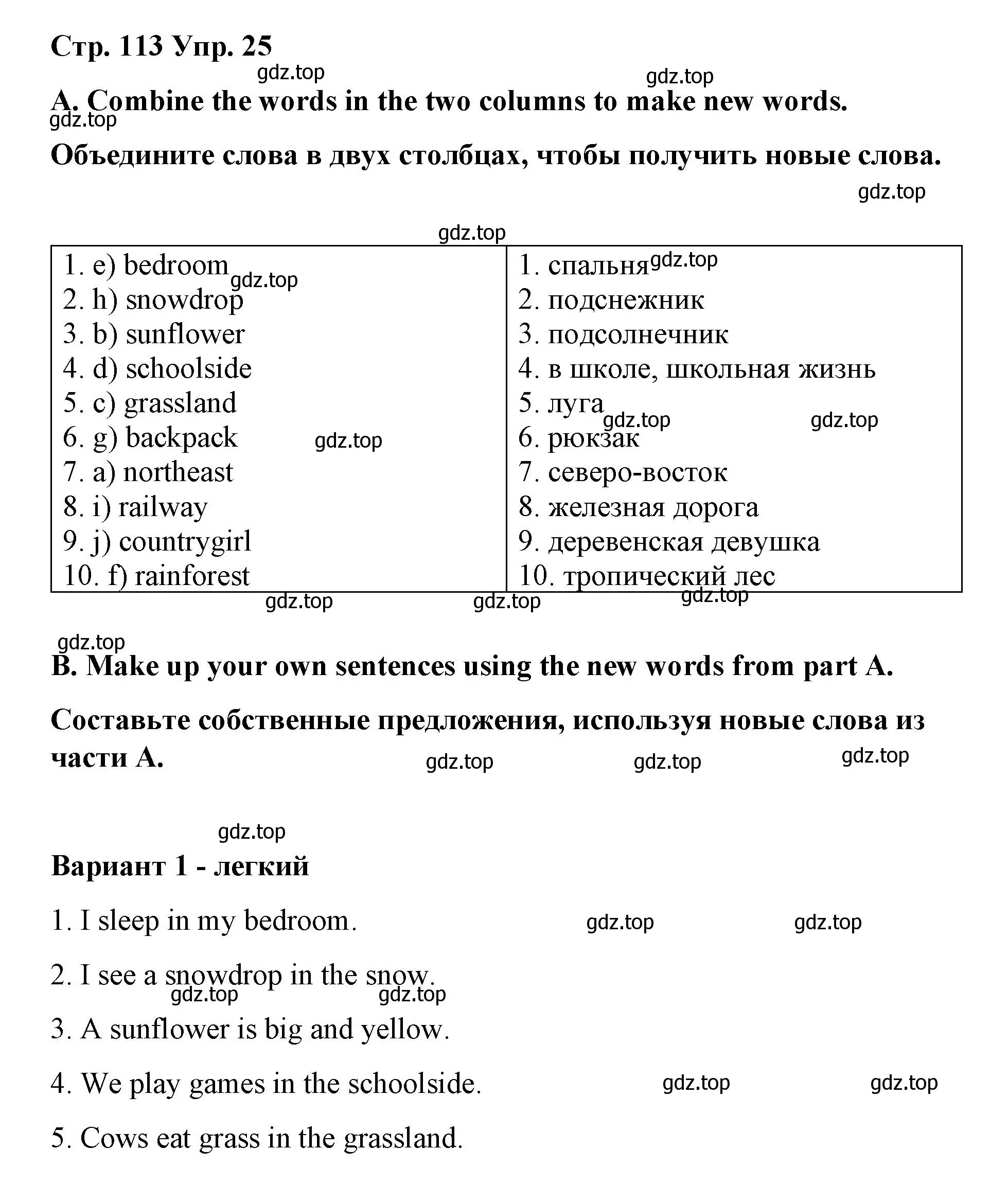 Решение номер 25 (страница 113) гдз по английскому языку 7 класс Афанасьева, Михеева, лексико-грамматический практикум