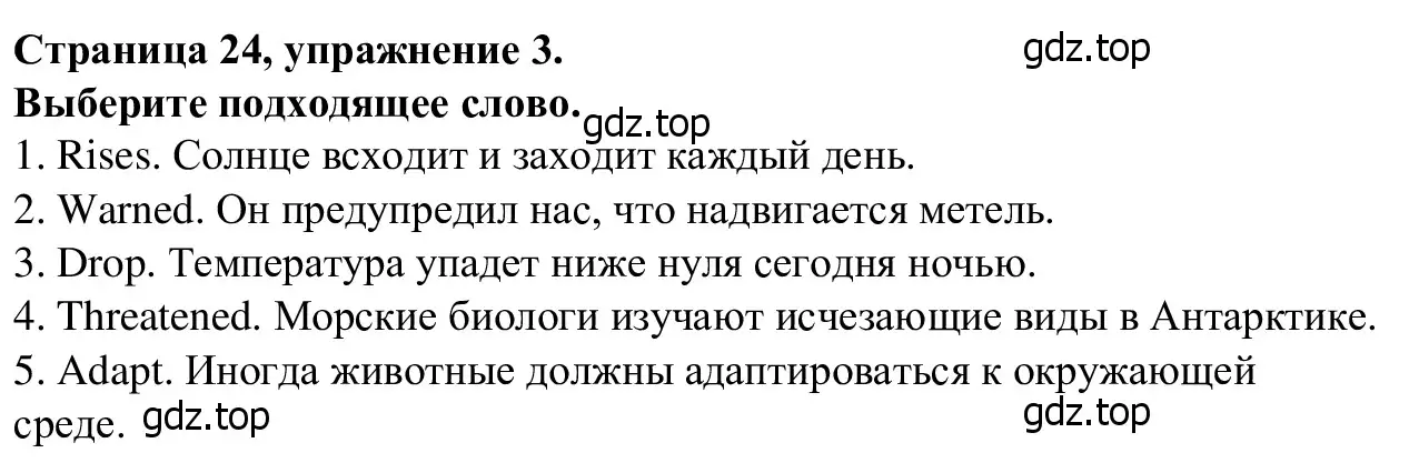 Решение номер 3 (страница 24) гдз по английскому языку 7 класс Баранова, Дули, рабочая тетрадь