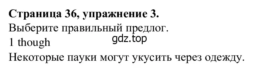 Решение номер 3 (страница 36) гдз по английскому языку 7 класс Баранова, Дули, рабочая тетрадь