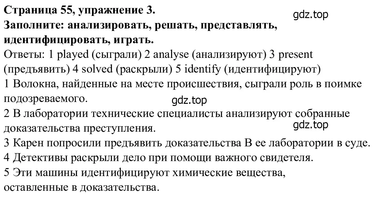 Решение номер 3 (страница 55) гдз по английскому языку 7 класс Баранова, Дули, рабочая тетрадь