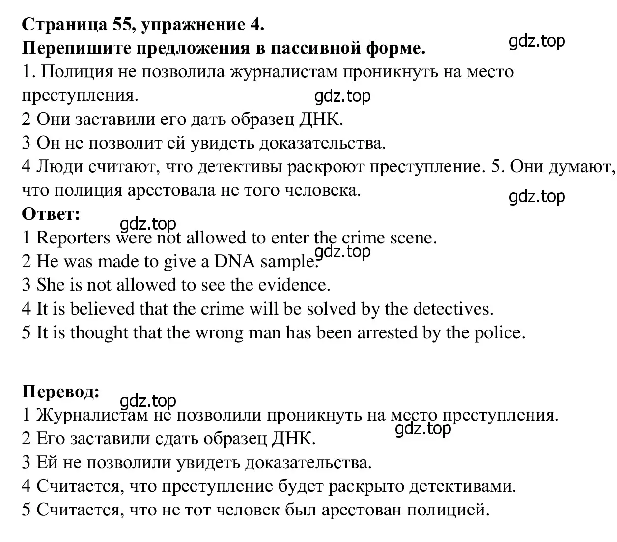 Решение номер 4 (страница 55) гдз по английскому языку 7 класс Баранова, Дули, рабочая тетрадь