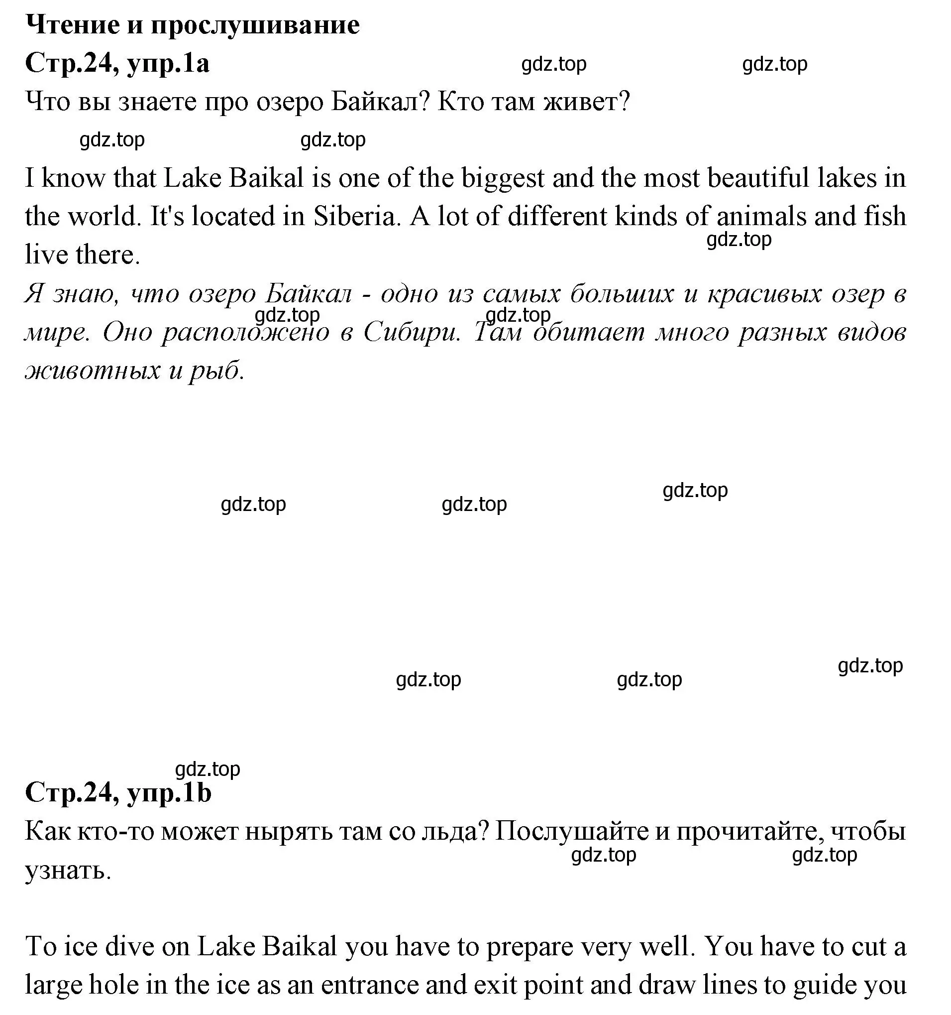 Решение номер 1 (страница 24) гдз по английскому языку 7 класс Баранова, Дули, учебник