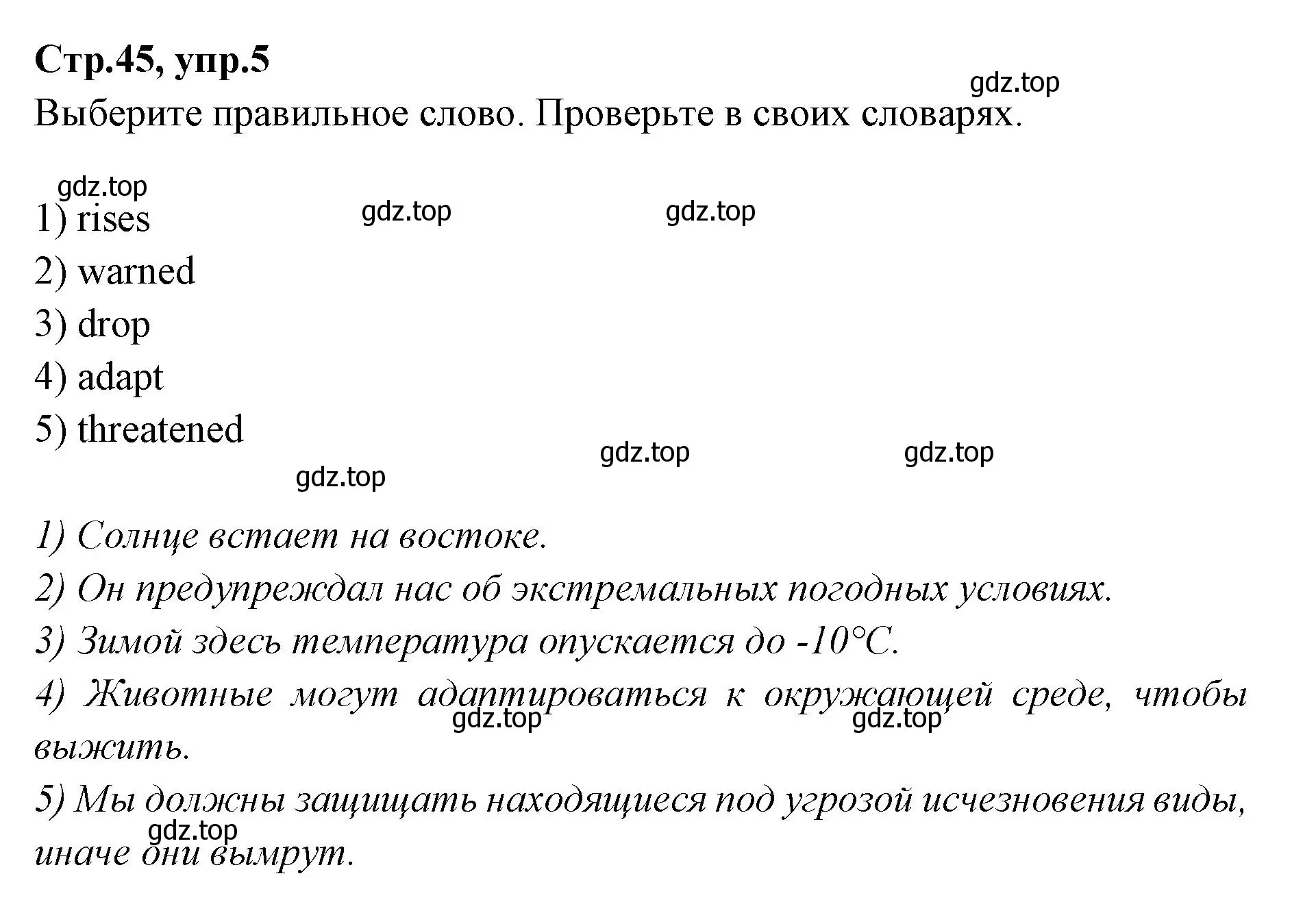 Решение номер 5 (страница 45) гдз по английскому языку 7 класс Баранова, Дули, учебник