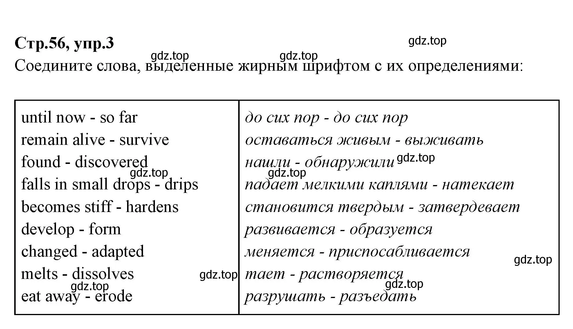 Решение номер 3 (страница 56) гдз по английскому языку 7 класс Баранова, Дули, учебник