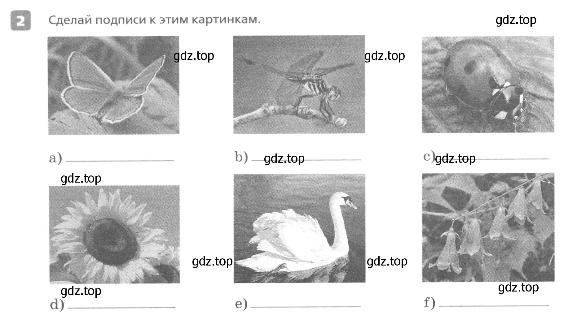 Условие номер 2 (страница 40) гдз по английскому языку 7 класс Афанасьева, Михеева, контрольные работы