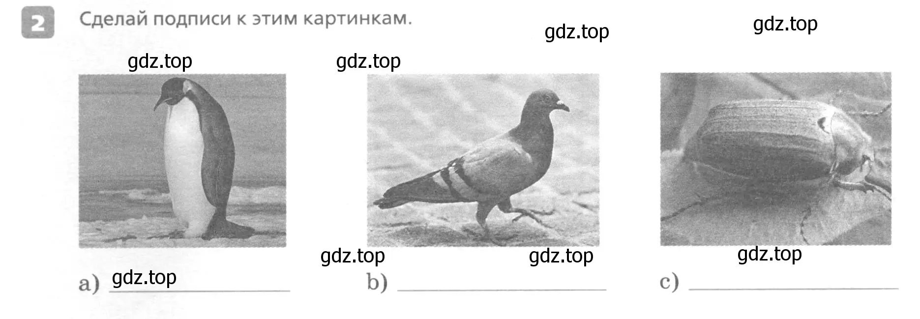 Условие номер 2 (страница 42) гдз по английскому языку 7 класс Афанасьева, Михеева, контрольные работы