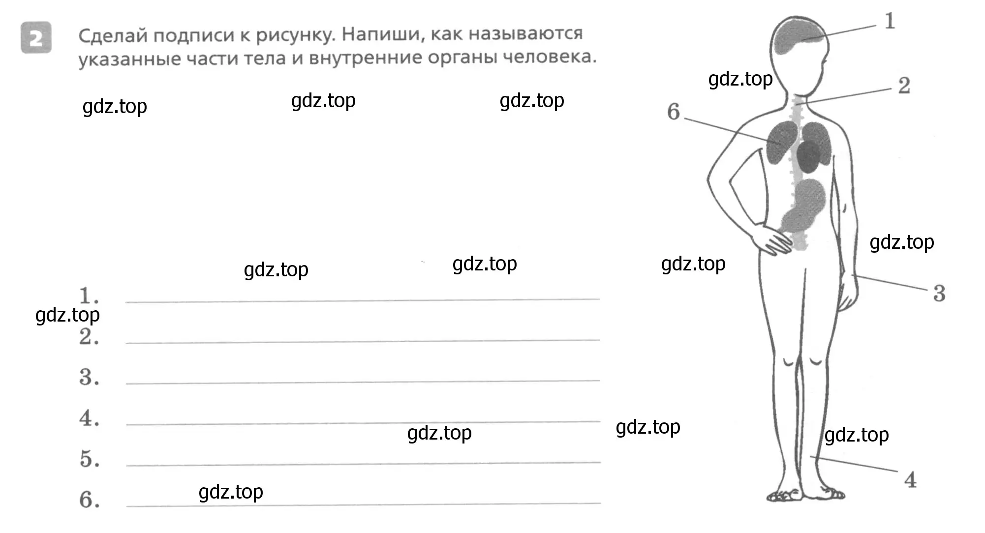 Условие номер 2 (страница 59) гдз по английскому языку 7 класс Афанасьева, Михеева, контрольные работы