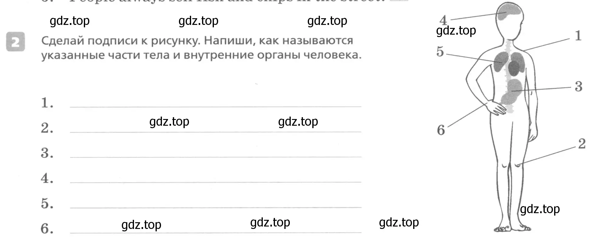 Условие номер 2 (страница 61) гдз по английскому языку 7 класс Афанасьева, Михеева, контрольные работы