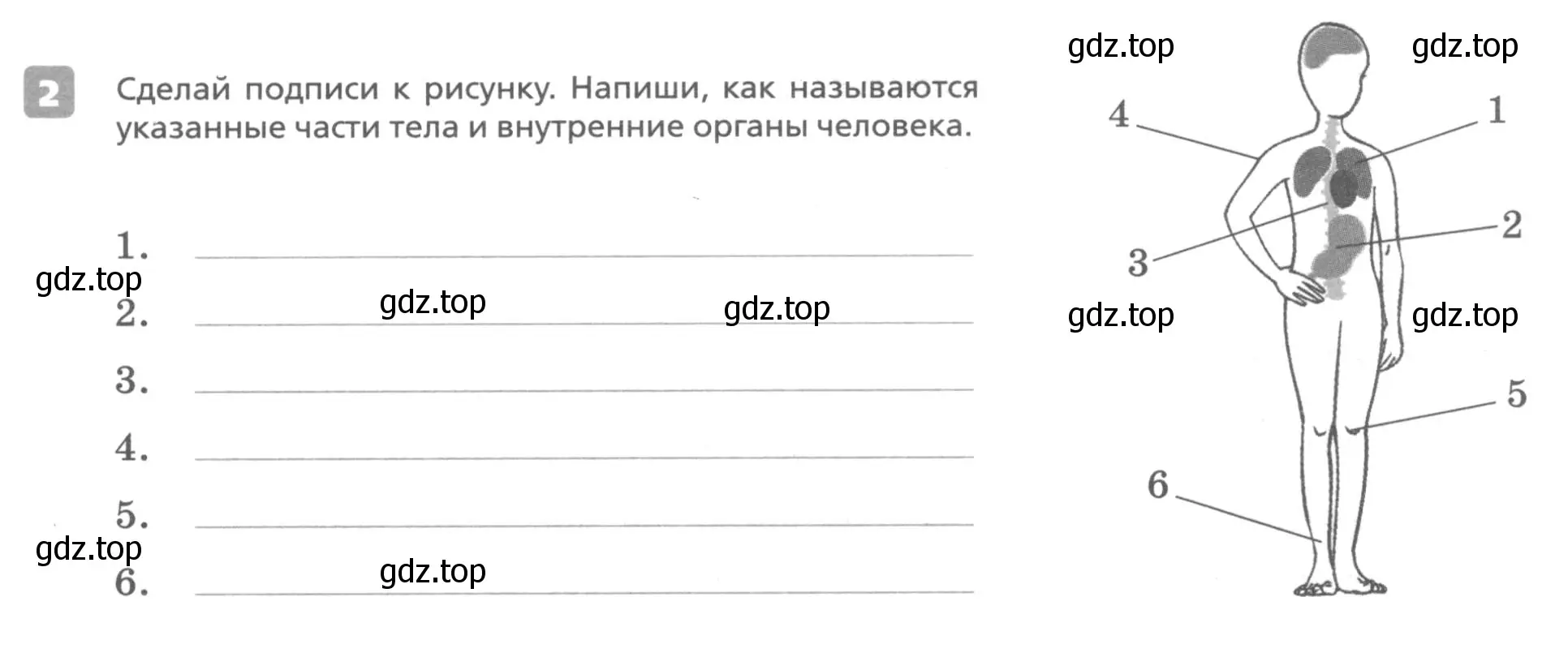 Условие номер 2 (страница 63) гдз по английскому языку 7 класс Афанасьева, Михеева, контрольные работы