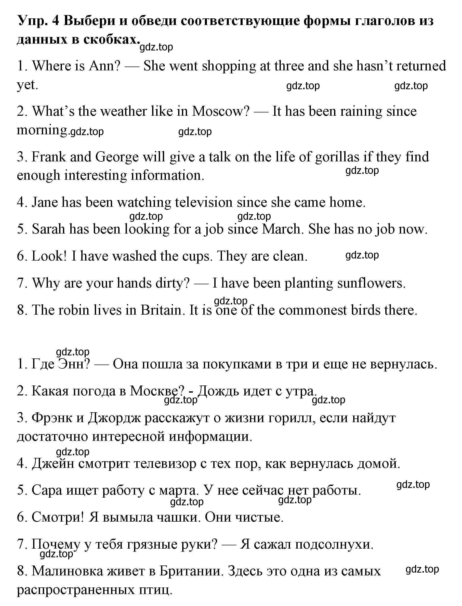 Решение номер 4 (страница 43) гдз по английскому языку 7 класс Афанасьева, Михеева, контрольные работы