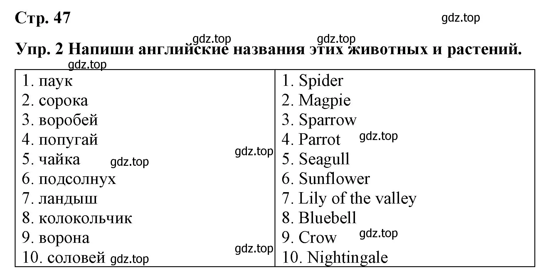 Решение номер 2 (страница 47) гдз по английскому языку 7 класс Афанасьева, Михеева, контрольные работы