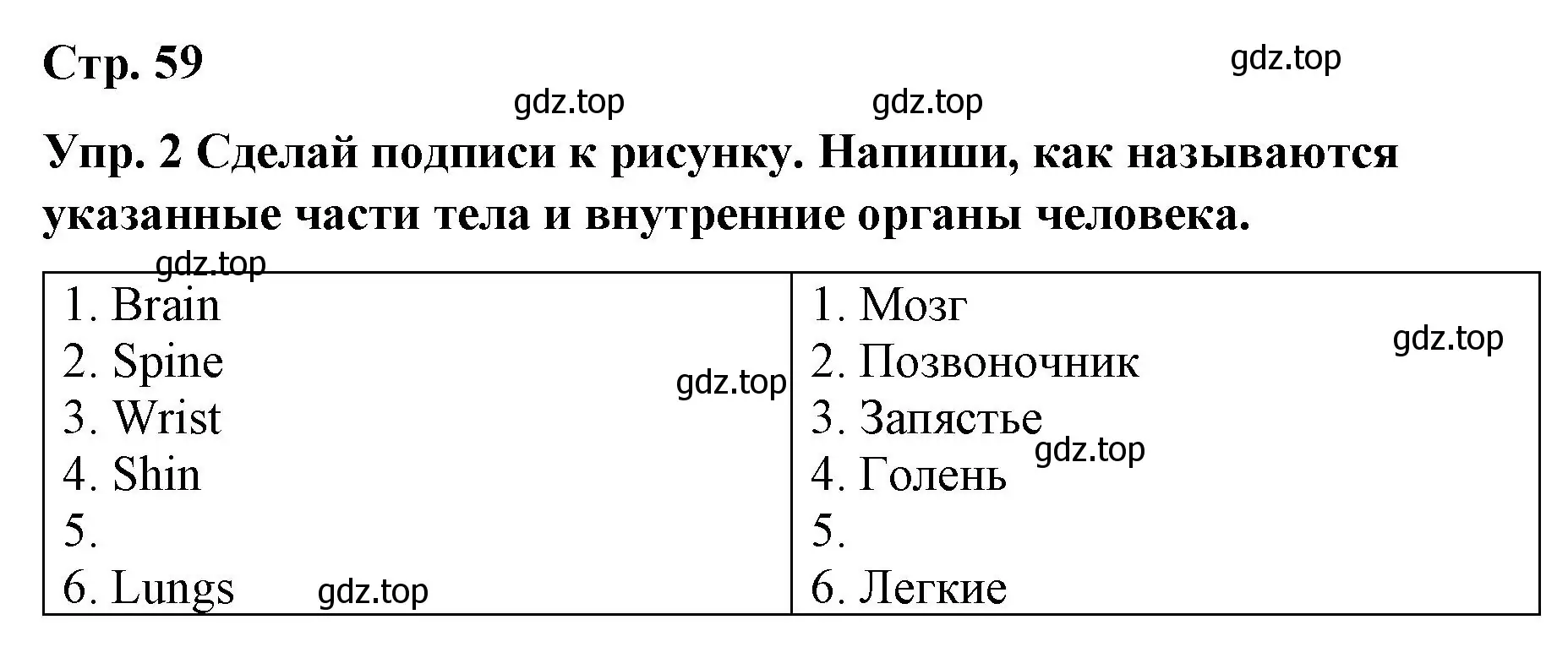 Решение номер 2 (страница 59) гдз по английскому языку 7 класс Афанасьева, Михеева, контрольные работы