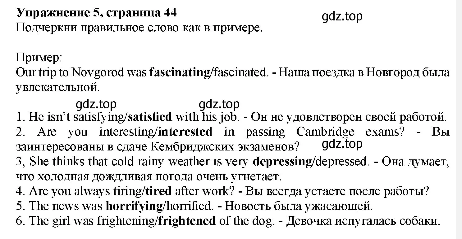 Решение номер 5 (страница 44) гдз по английскому языку 7 класс Тимофеева, грамматический тренажёр