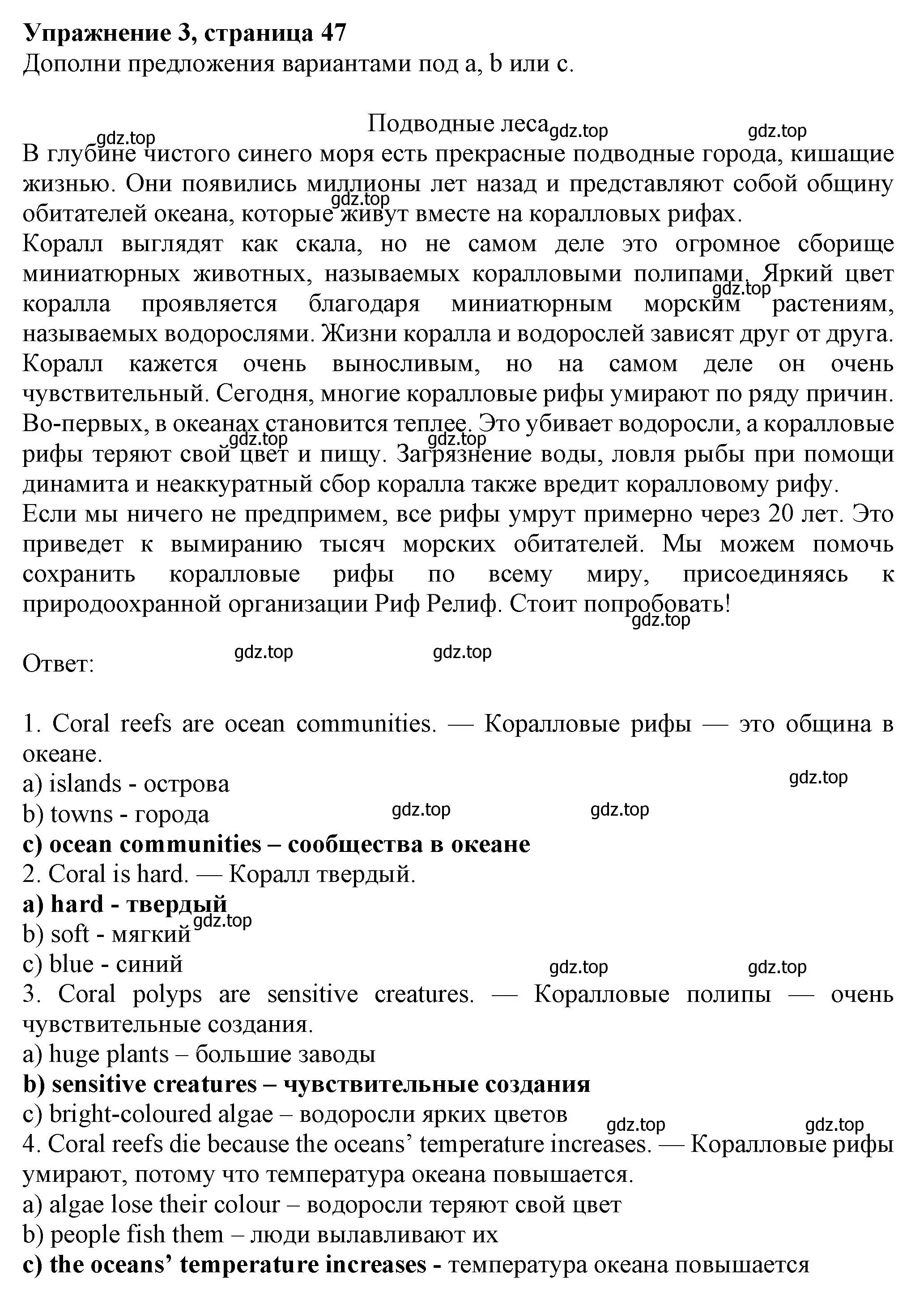 Решение номер 3 (страница 47) гдз по английскому языку 7 класс Ваулина, Дули, рабочая тетрадь