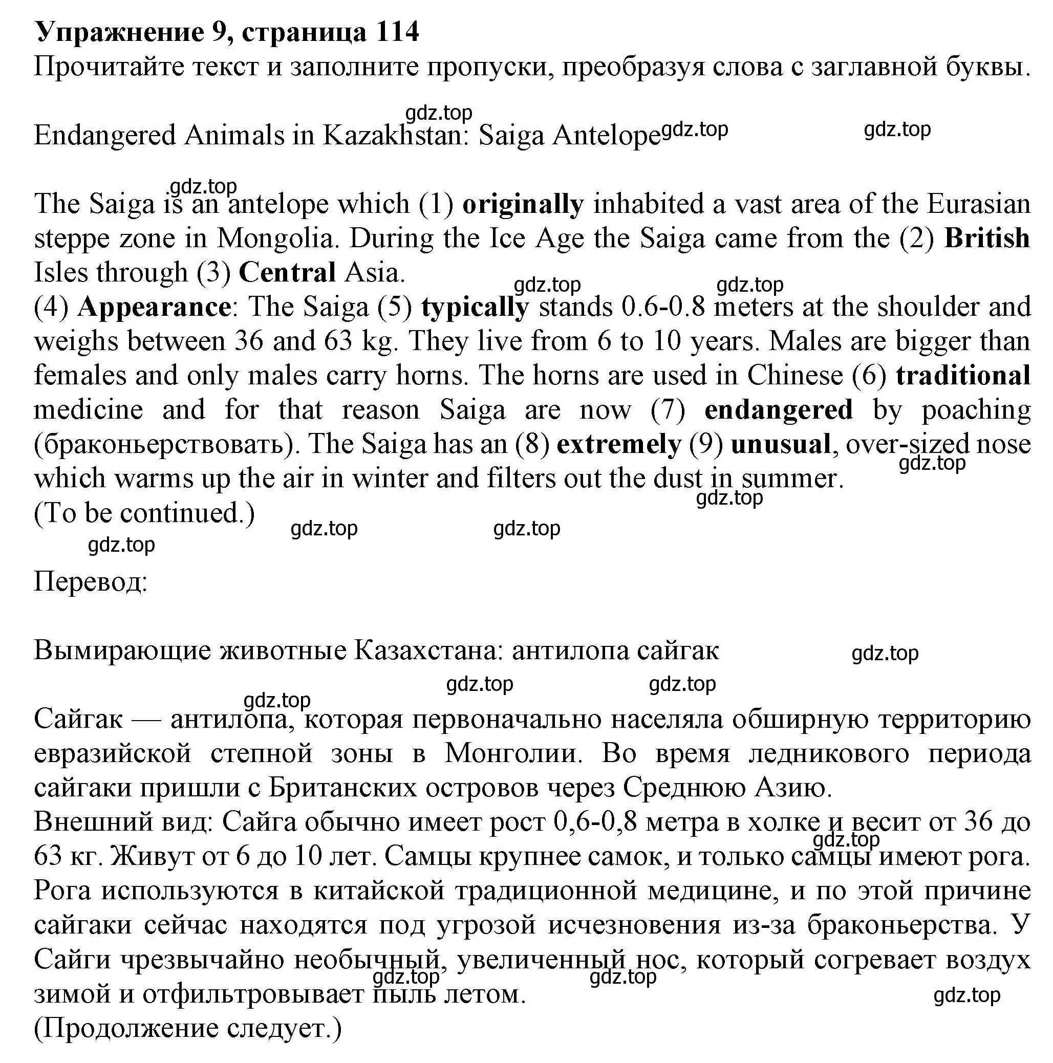 Решение номер 9 (страница 114) гдз по английскому языку 7 класс Ваулина, Подоляко, тренировочные упражнения в формате ОГЭ