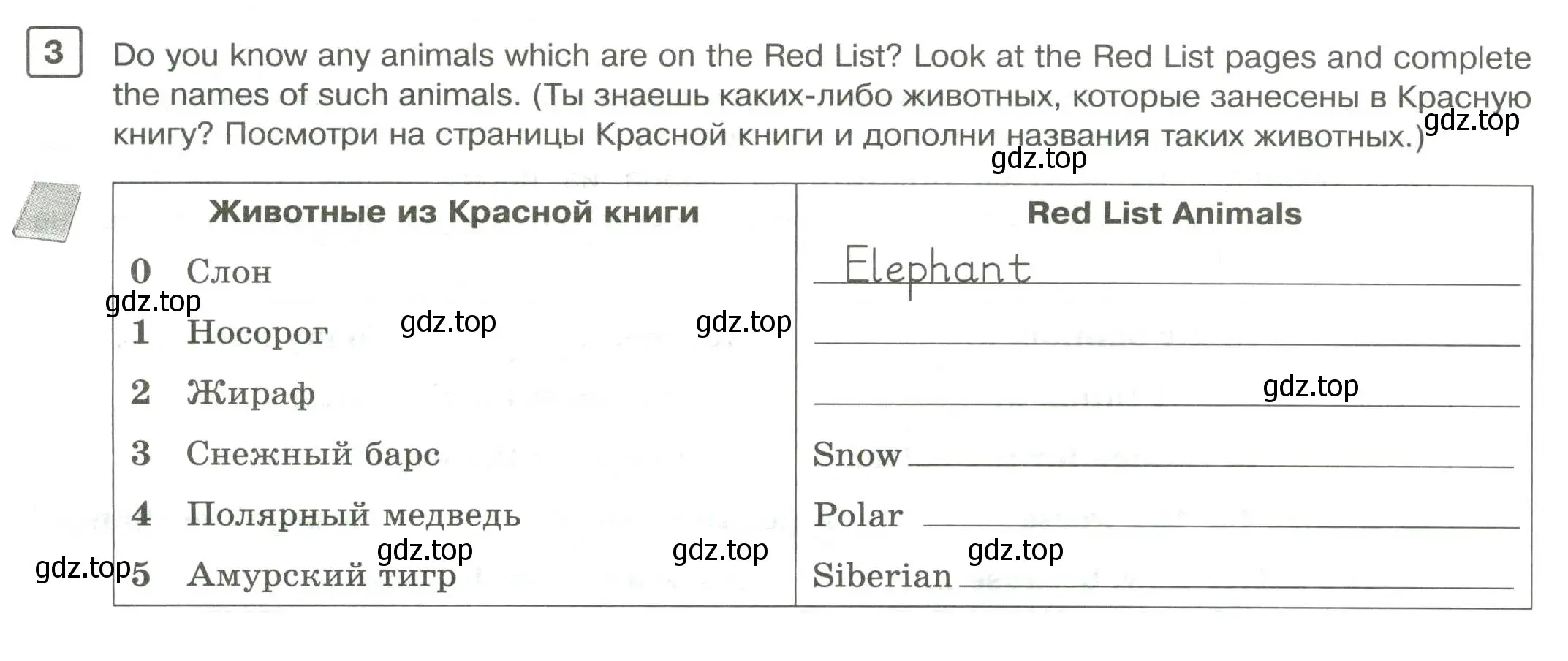 Условие номер 3 (страница 22) гдз по английскому языку 7 класс Вербицкая, Лубнина, практикум