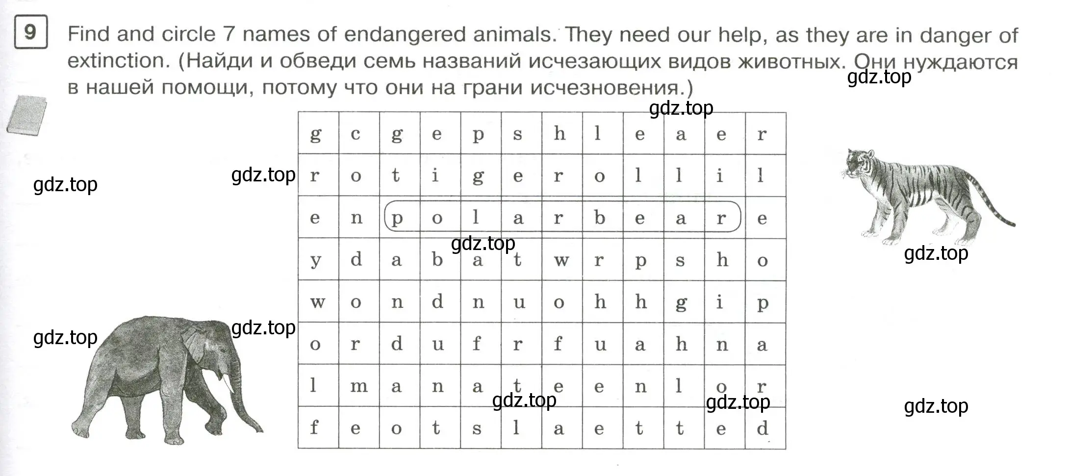 Условие номер 9 (страница 25) гдз по английскому языку 7 класс Вербицкая, Лубнина, практикум