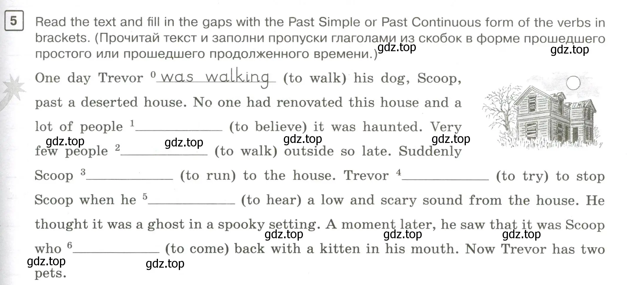 Условие номер 5 (страница 47) гдз по английскому языку 7 класс Вербицкая, Лубнина, практикум