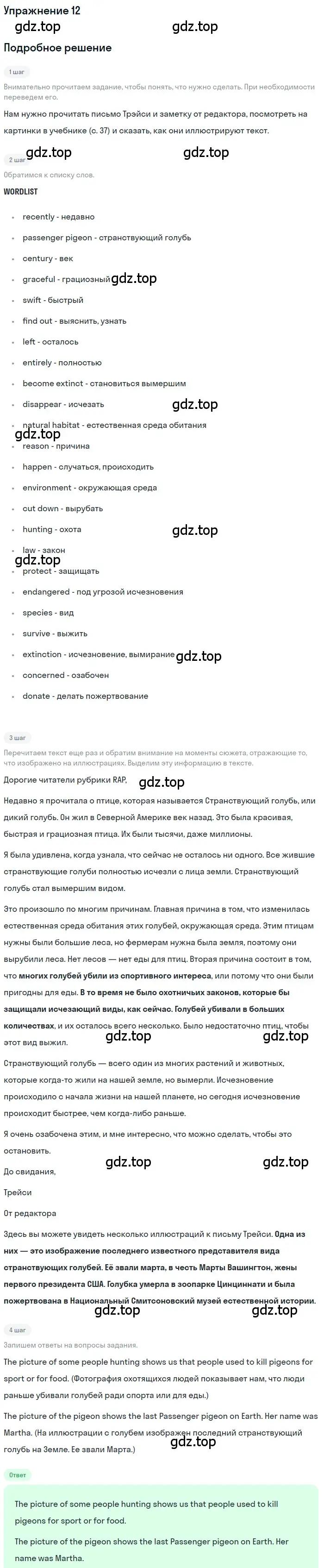 Решение номер 12 (страница 37) гдз по английскому языку 7 класс Вербицкая, Гаярдел, учебник 1 часть