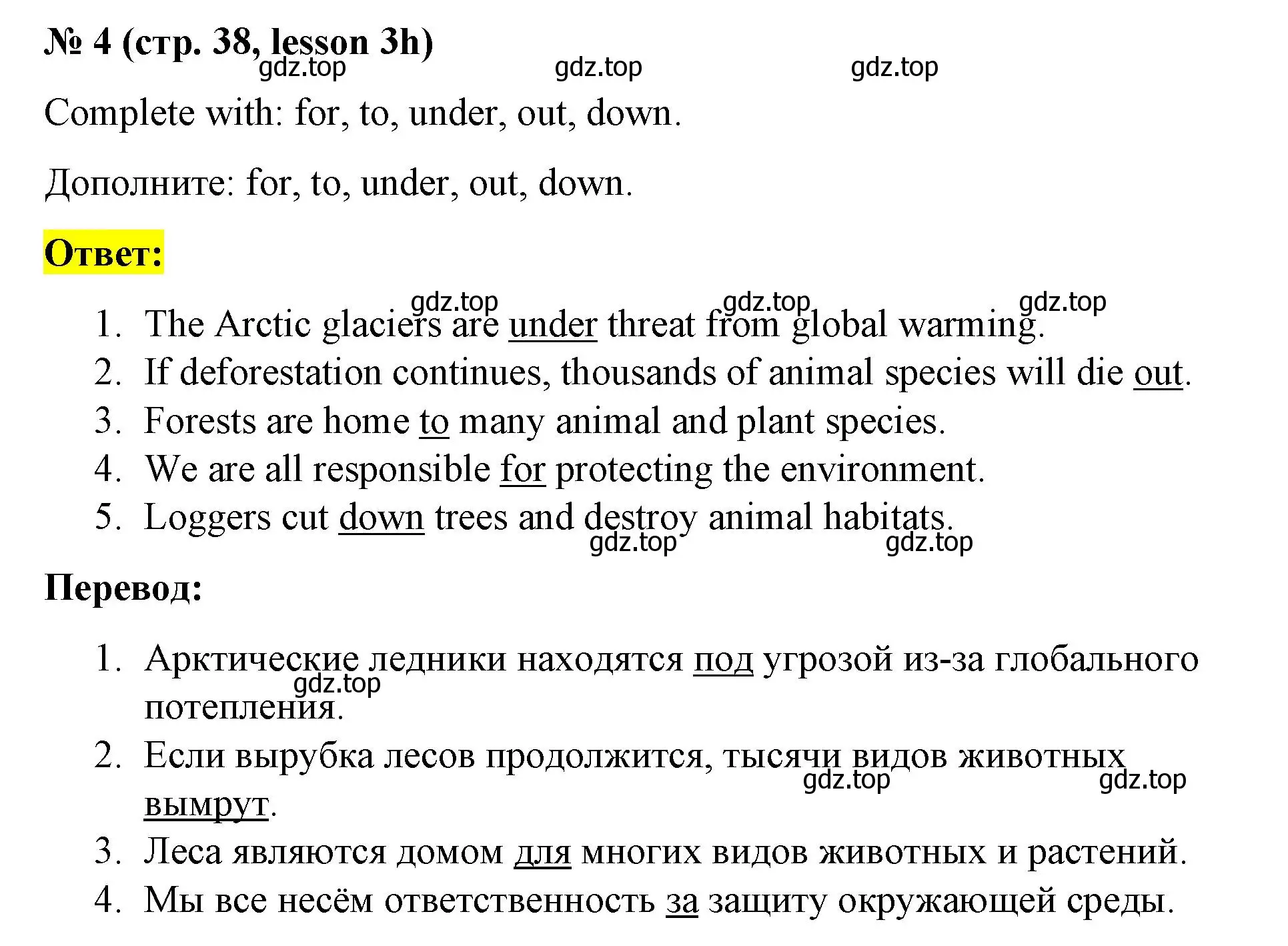 Решение номер 4 (страница 38) гдз по английскому языку 8 класс Баранова, Дули, рабочая тетрадь